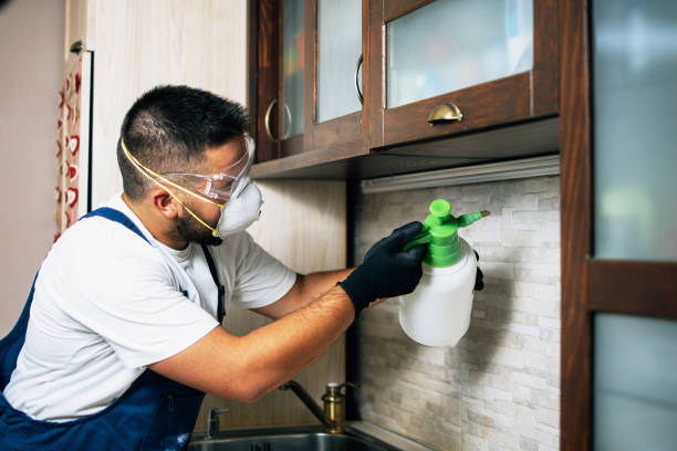 Best Affordable Pest Control Services  in South Beloit, IL