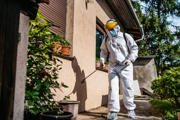 Best Residential Pest Control  in South Beloit, IL