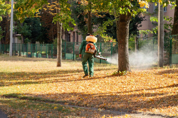 Best Wildlife Control Services  in South Beloit, IL